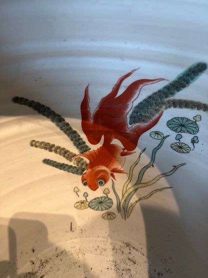 Jardinière Chinoiserie Vintage Chinoise en Porcelaine Carpe Koi