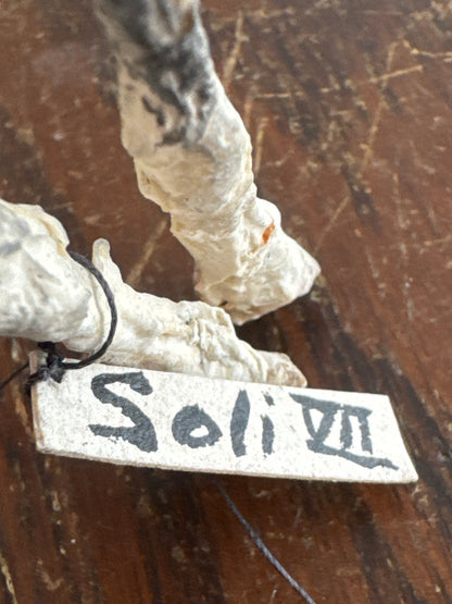 Sculpture en papier mâché Soli VII Cheval par Patricia Barrowman