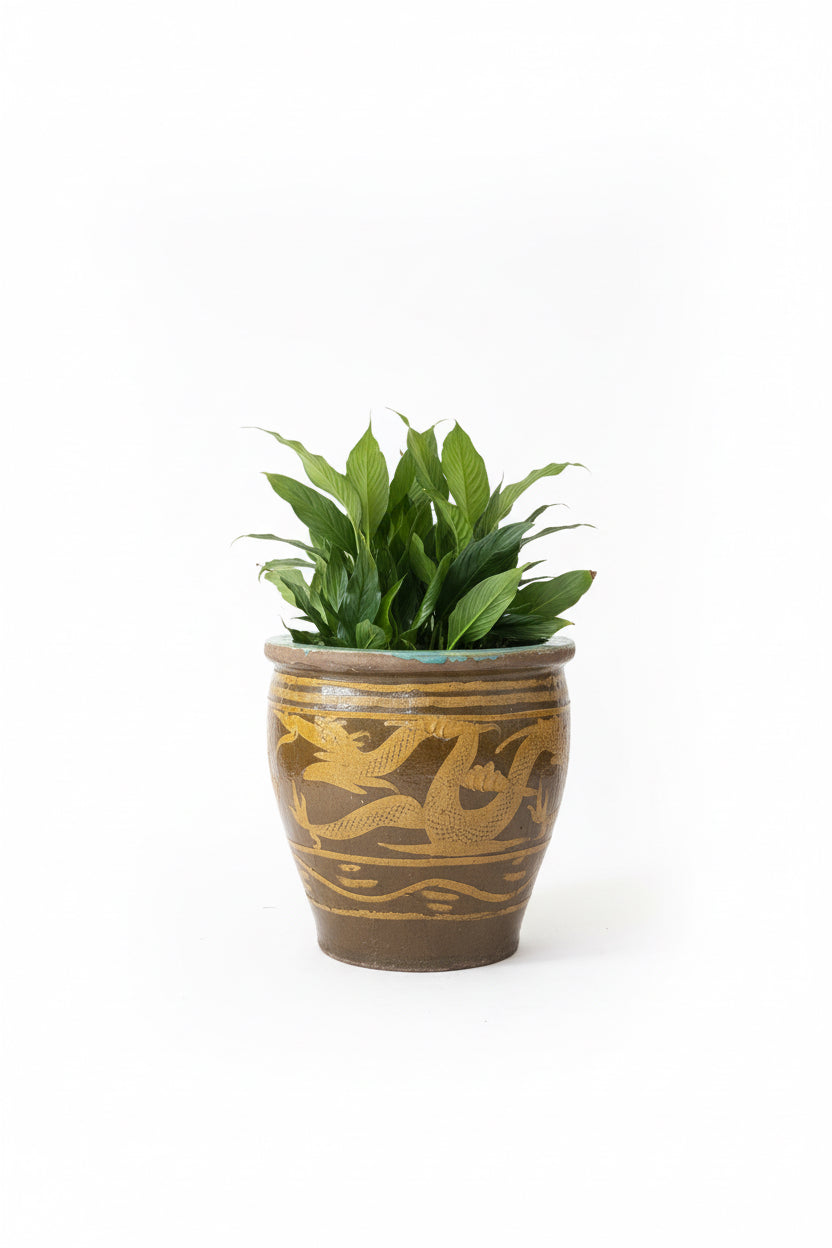 Jardinière en poterie d&