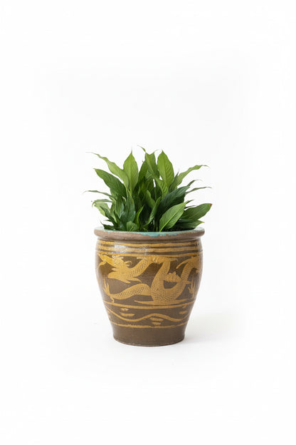 Jardinière en poterie d&