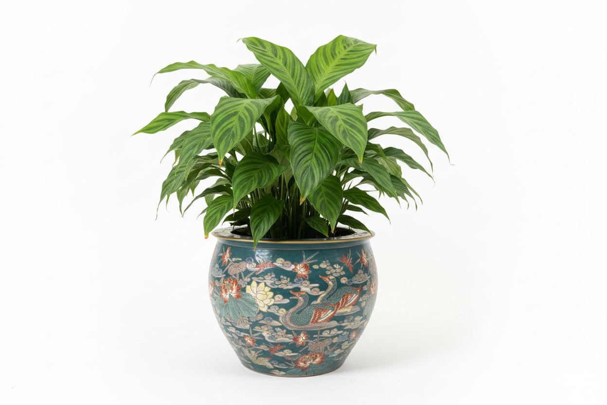 Jardinière Chinoiserie Vintage Chinoise en Porcelaine Carpe Koi