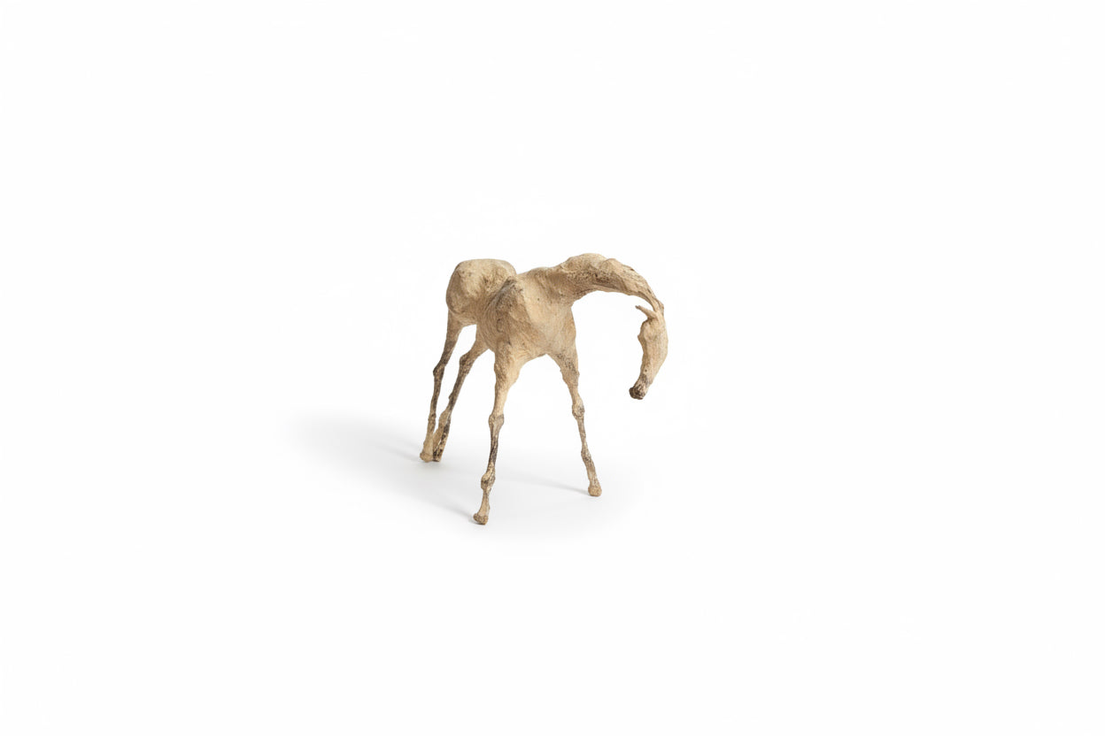 Sculpture en papier mâché Soli VII Cheval par Patricia Barrowman