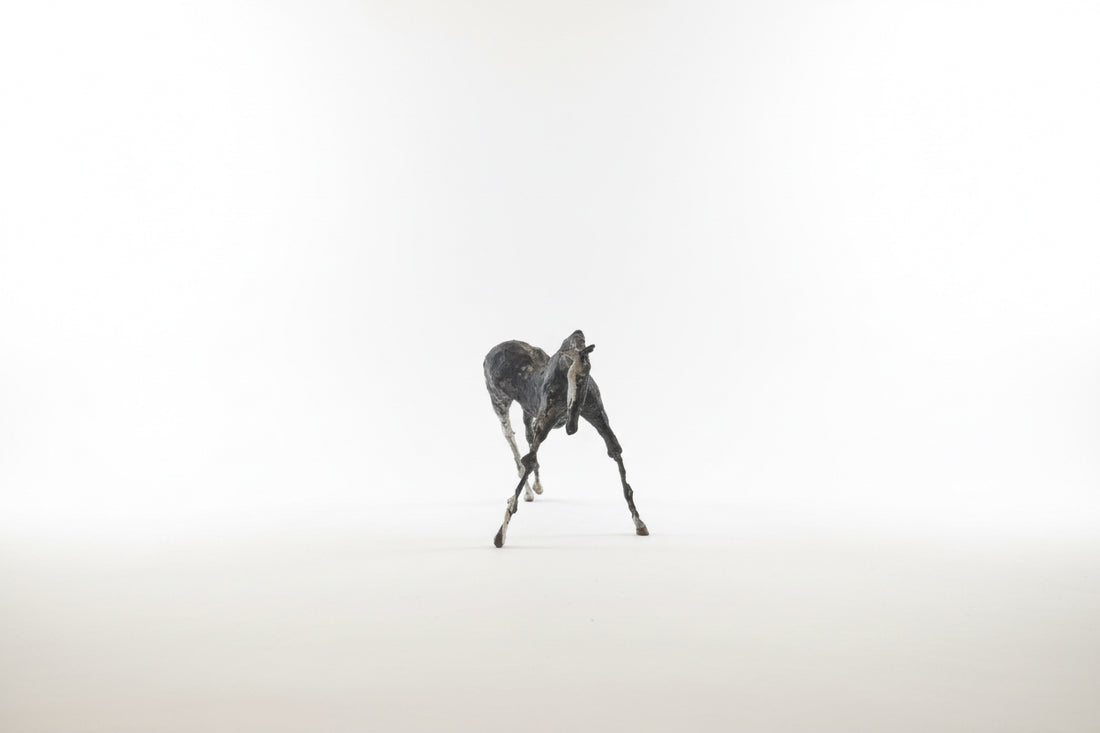 Papier Mâché Sculpture by Patricia Barrowman